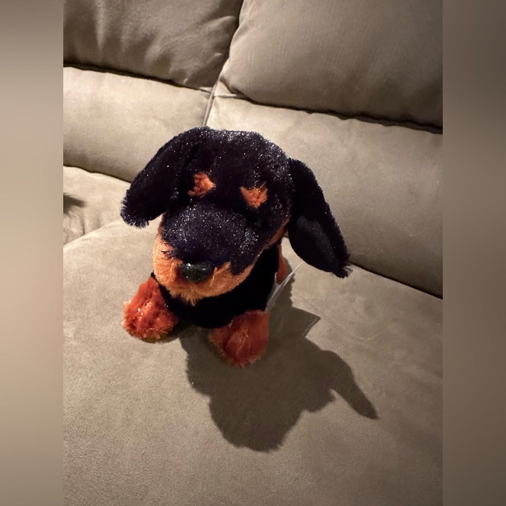 Webkinz Dachshund with sealed code